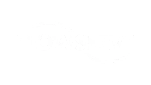 flowserver